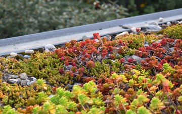 the cost of West End green roof installation