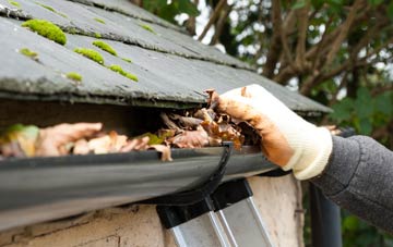gutter cleaning West End